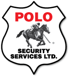 Polo Security logo